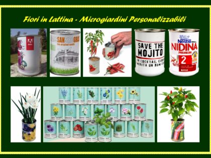 Fiori e Piantine in Lattina <p> Microgiardini Personalizzati