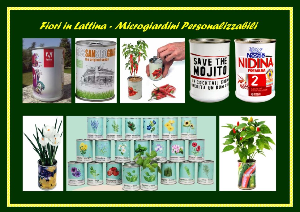 Fiori e Piantine in Lattina <p> Microgiardini Personalizzati