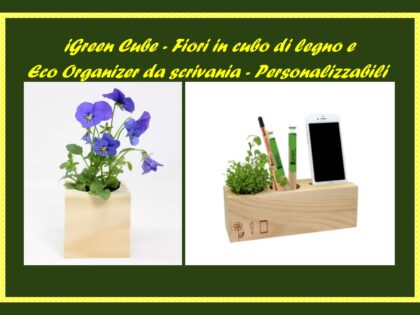 iGreen Cube<p>Eco Organizer da scrivania